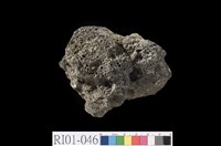 藏品(浮石)的圖片